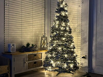 Picture 6